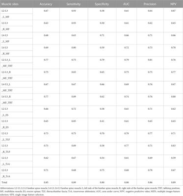 Binary classification of non-specific low back pain condition based on the combination of B-mode ultrasound and shear wave elastography at multiple sites